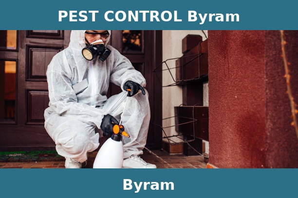 PEST CONTROL Byram